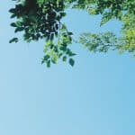 découvrez tout ce qu'il faut savoir sur la pré-saison : anticipations, préparations d'équipe et stratégies pour aborder la nouvelle saison dans les meilleures conditions.