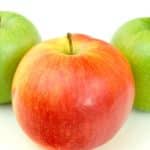 découvrez l'univers de samuel smith, une brasserie anglaise emblématique connue pour ses bières artisanales de qualité supérieure. plongez dans l'histoire fascinante de cette institution, ses produits authentiques et son engagement envers l'artisanat traditionnel.